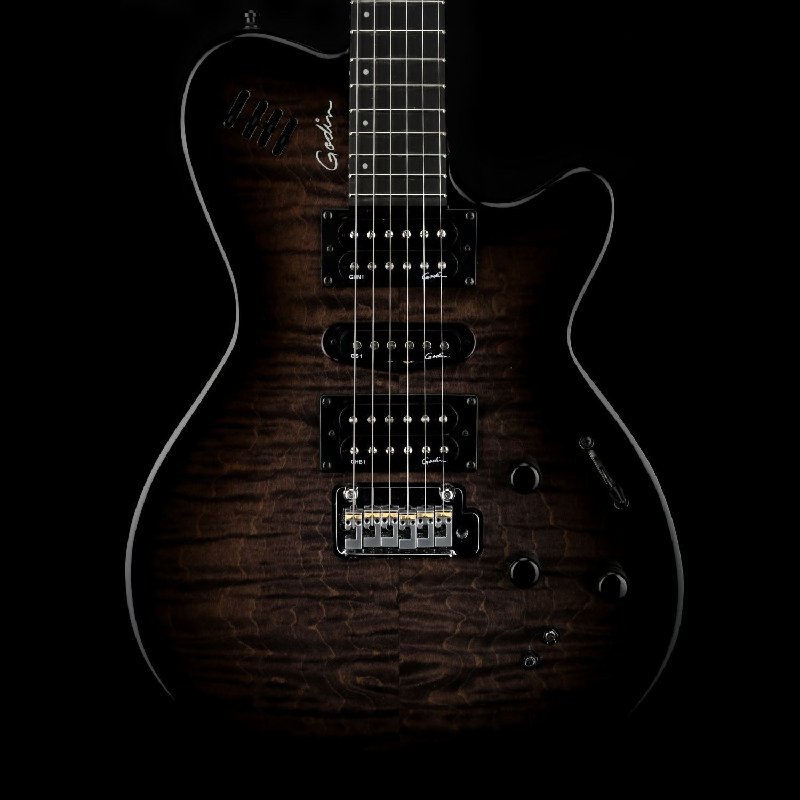 Godin xtSA Electric Guitar in Leaftop Trans Black with Gig Bag (2022)