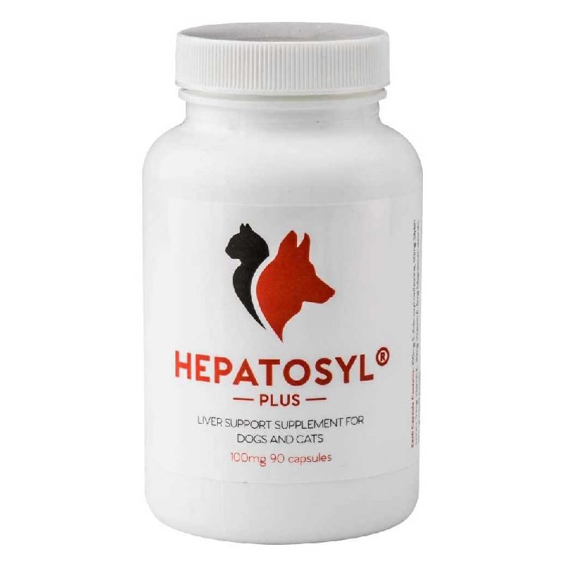 Hepatosyl Plus Liver Supplement for Cats & Dogs - 100mg, 90 Capsules
