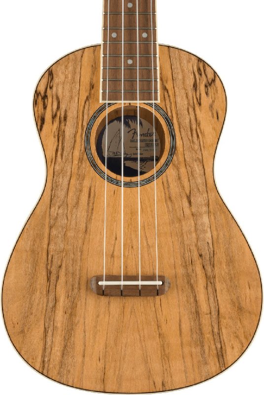 Fender Zuma Exotic Concert Ukulele, Spalted Maple, Walnut Fingerboard