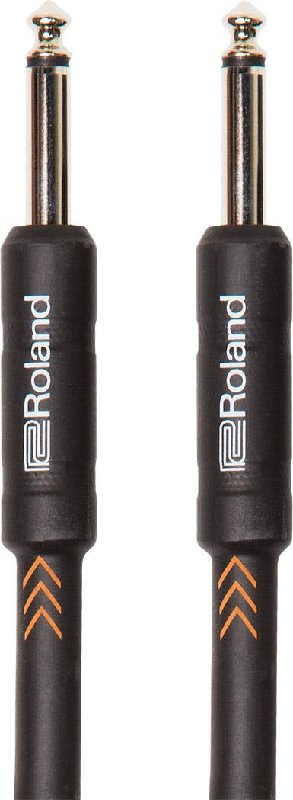 Roland RIC-B10 10ft/3m Instrument Cable with Straight 1/4 Inch Jacks