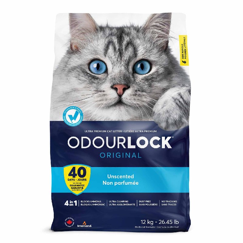 Intersand Odourlock Clay Cat Litter 12kg