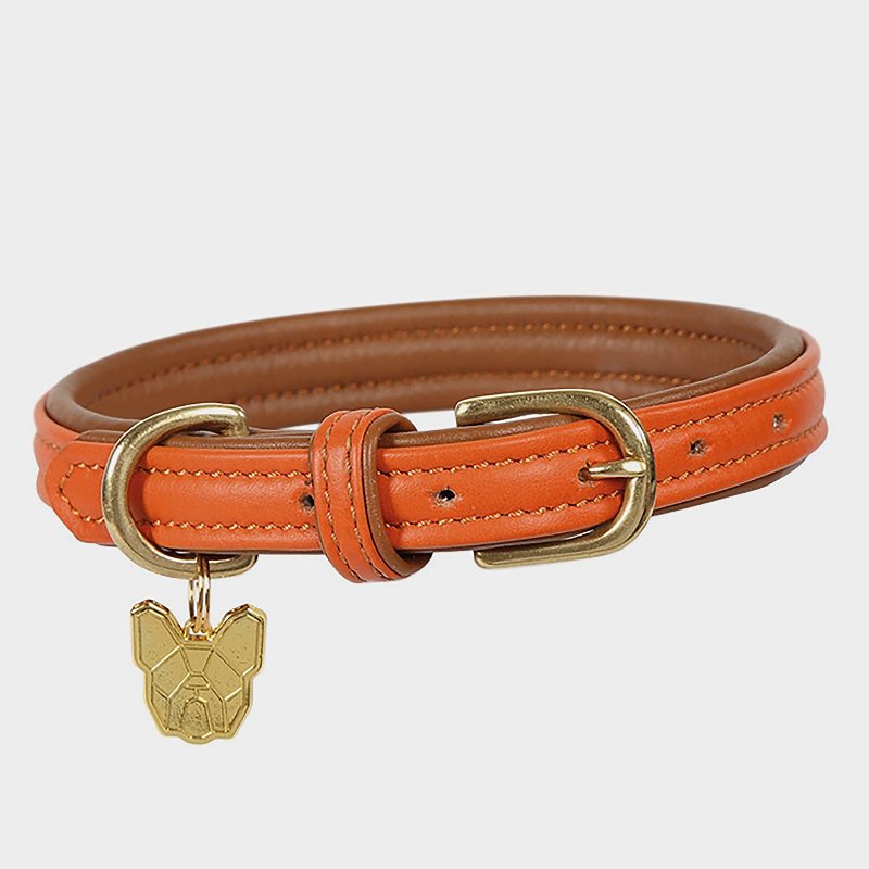 Digby & Fox Padded Leather Dog Collar