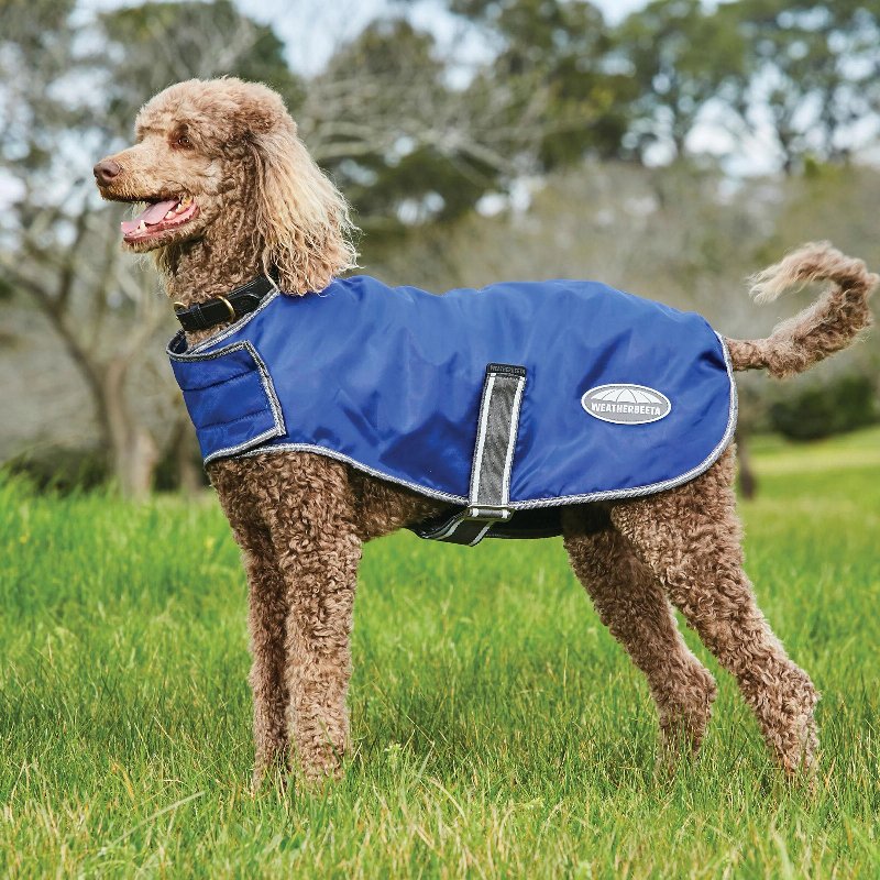 Weatherbeeta ComFiTec Windbreaker Free Parka Dog Coat Dark Blue/Grey/White