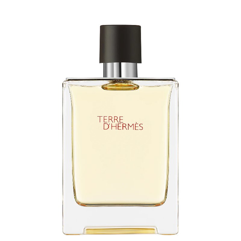 Hermès Terre d'Hermès Eau de Toilette 100ml