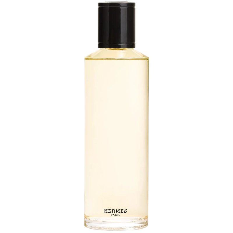 Hermès Terre d'Hermès Eau de Parfum Intense Refill 200ml