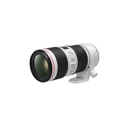 Canon EF 70-200mm f/4L IS II USM Lens, White