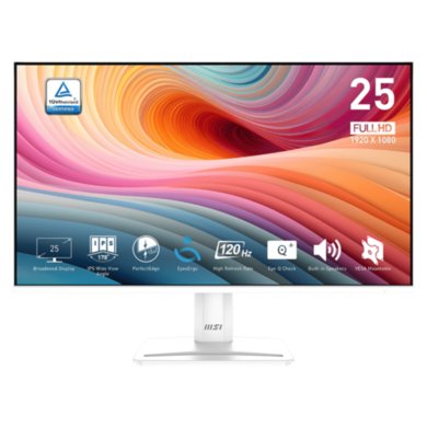 MSI PRO MP251W E2 25" IPS Full HD 120Hz Monitor