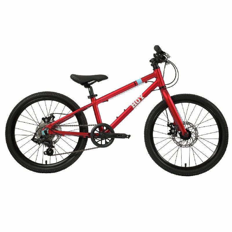 HOY Pentland 20 Inch Wheel Size Kids Mountain Bike