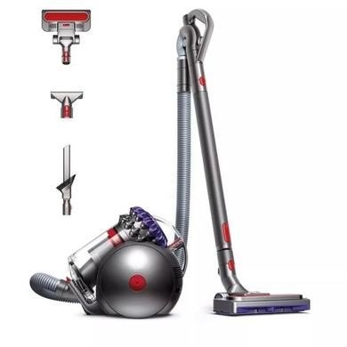 Dyson Big Ball Animal 2 Cylinder Vacuum Cleaner - Iron & Purple