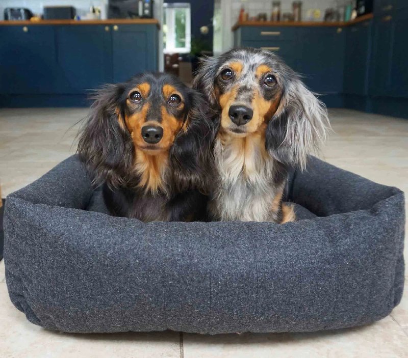 40 Winks Memory Foam Snuggle Dog Bed - Small, Grey