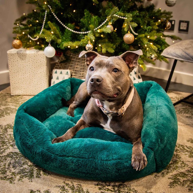 Rosewood Forest Green Faux Fur Box Dog Bed - Medium (61x46x20cm)