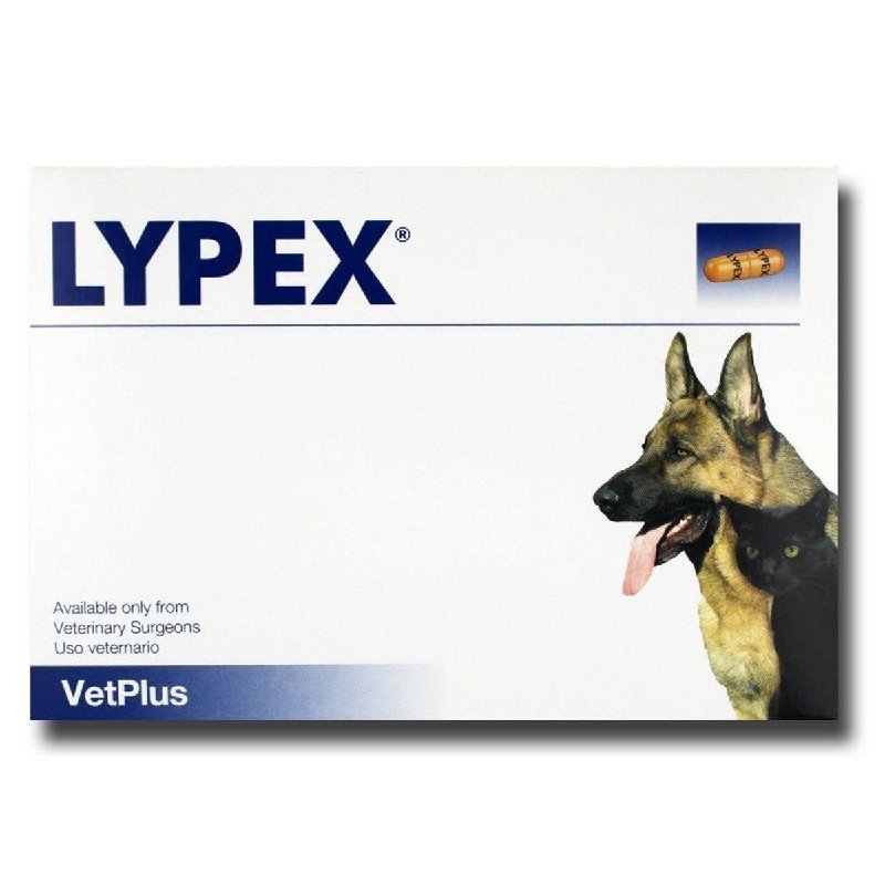 Lypex Pancreatic Enzyme Capsules for Dogs and Cats, 60 Capsules