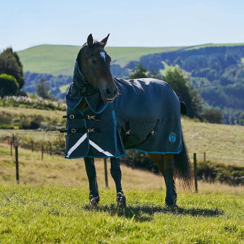Royal Scot Original 200g Light-Medium Combo Neck Turnout Rug, Black/Ocean