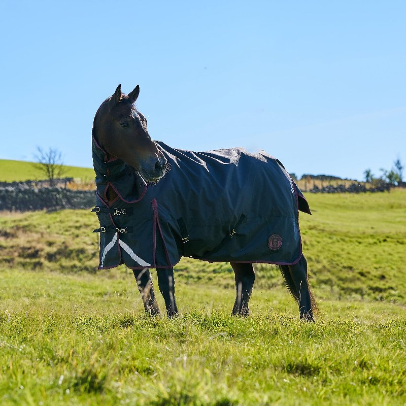 Royal Scot Original 100g Light-Medium Weight Combo Neck Turnout Rug Black/Wine