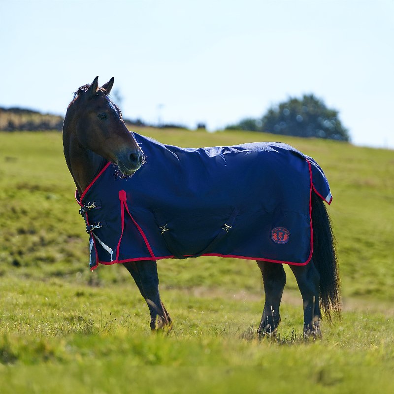 Royal Scot Original 50g Lightweight Standard Neck Turnout Rug Navy/Red