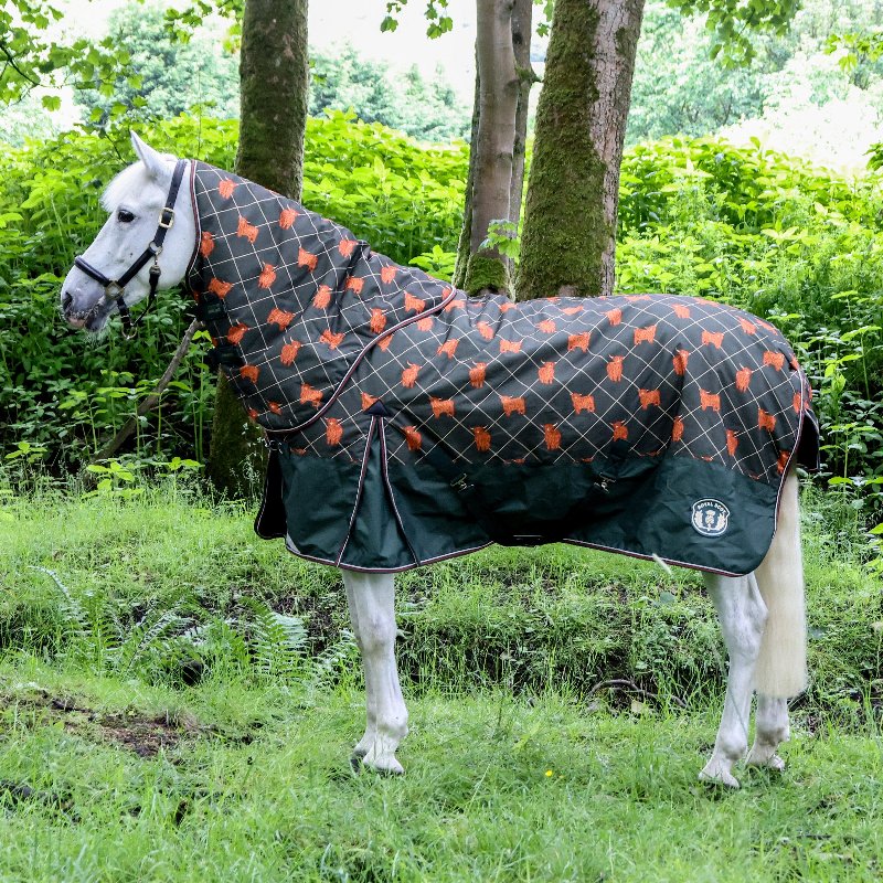 Royal Scot Original 100g Light-Medium Turnout Rug Olive