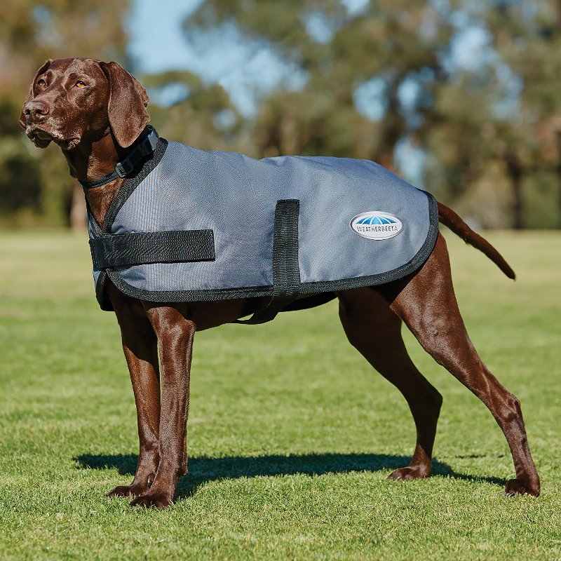 Weatherbeeta ComFiTec Classic Lightweight Dog Coat, Dark Grey, 100g