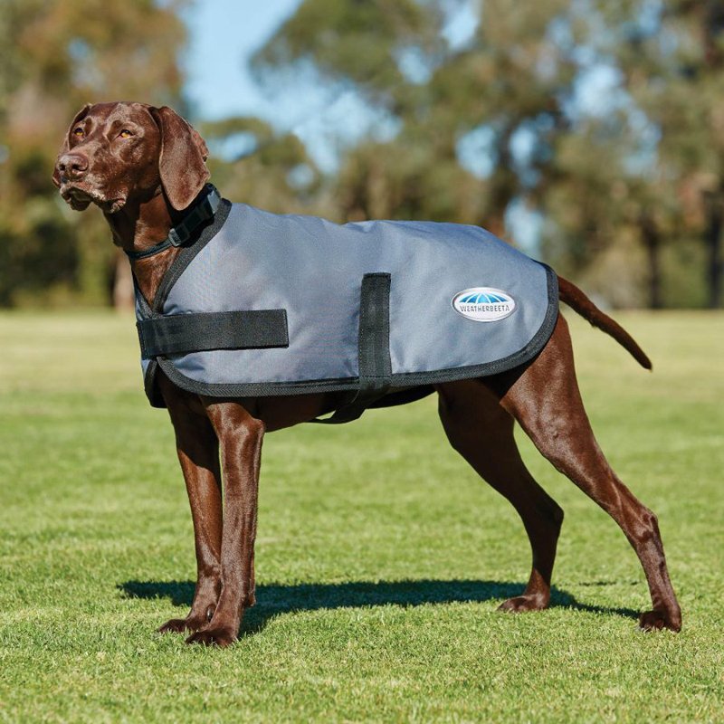 Weatherbeeta ComFiTec Classic 100g Lightweight Dog Coat - Dark Grey