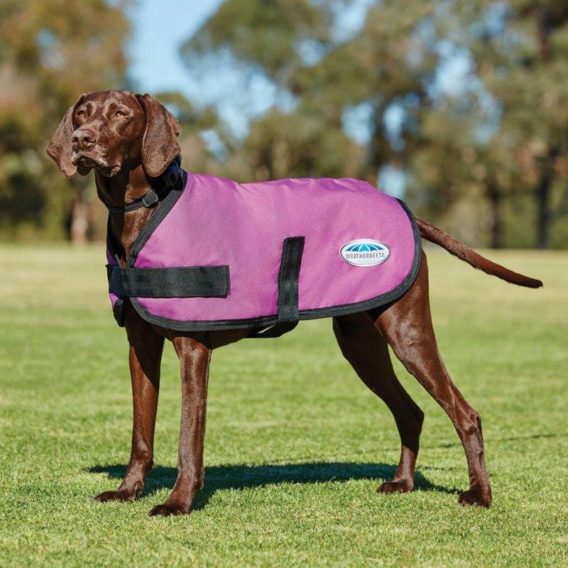 Weatherbeeta ComFiTec Classic 100g Lightweight Dog Coat in Pink