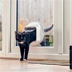 SureFlap Microchip Cat Flap Connect
