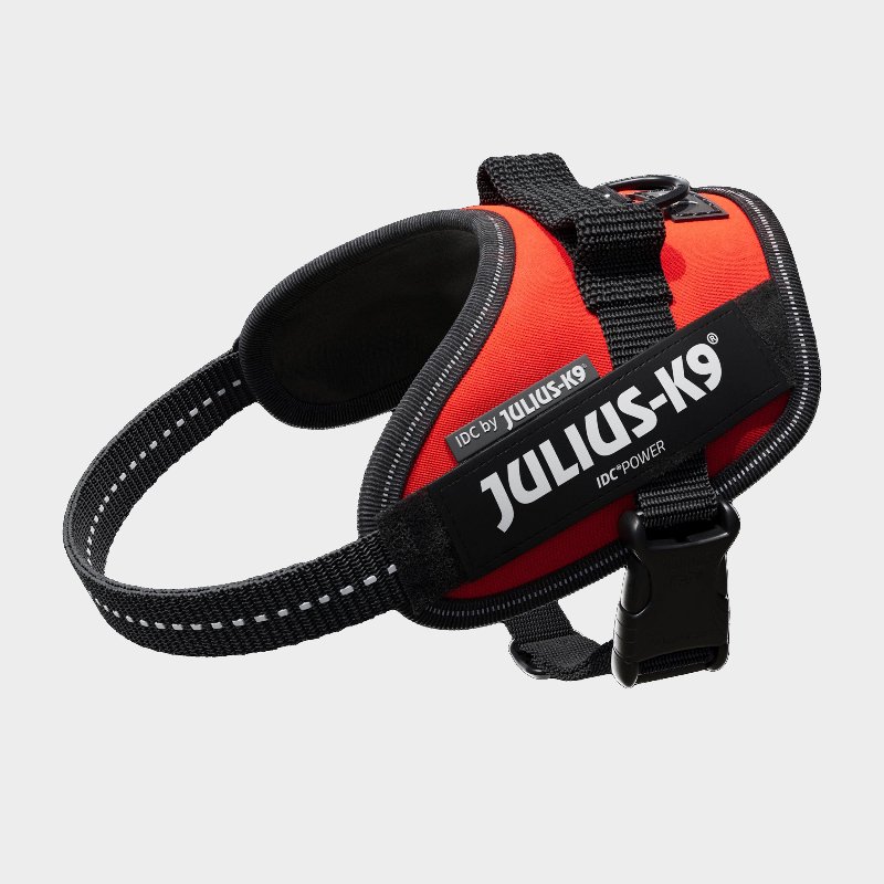 Julius K9 Original Powerharness Mini-Mini for XXS Dogs