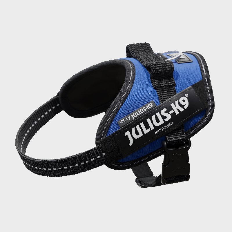 Julius K9 Original Powerharness Mini-Mini in Blue