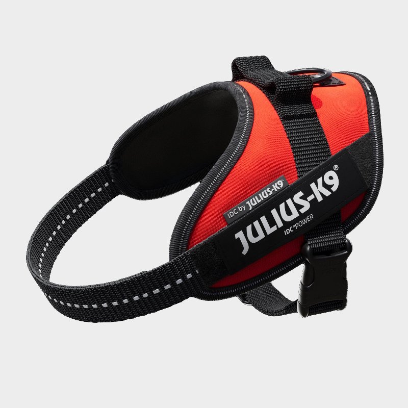 Julius K9 Original Powerharness Mini, Red