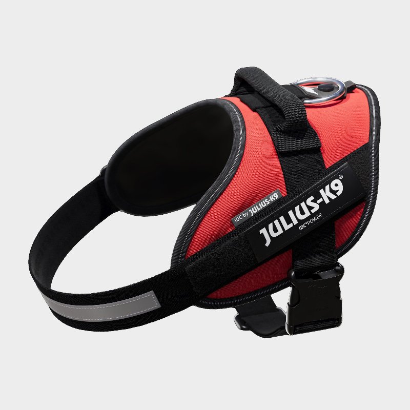 Julius K9 Original Powerharness Size 0 Red