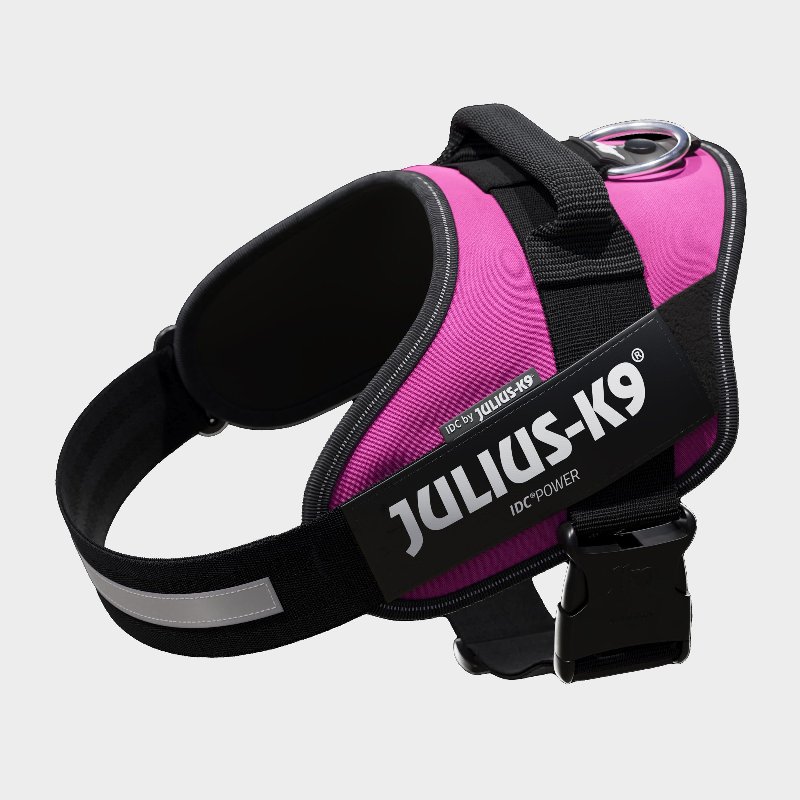 Julius K9 Powerharness Size 1 in Pink
