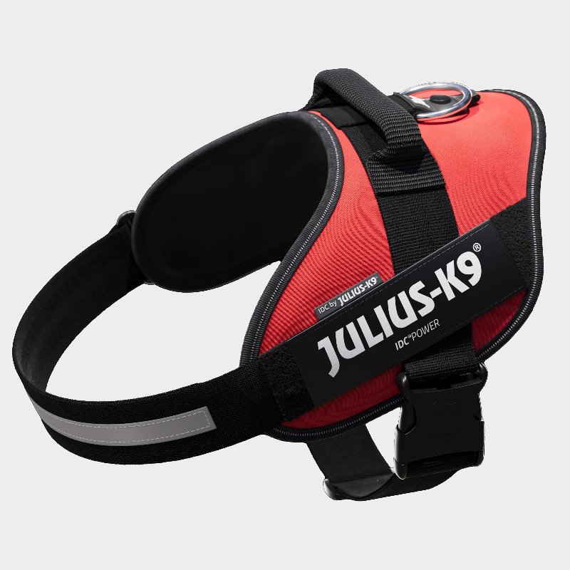Julius K9 Original Powerharness Size 2 in Red