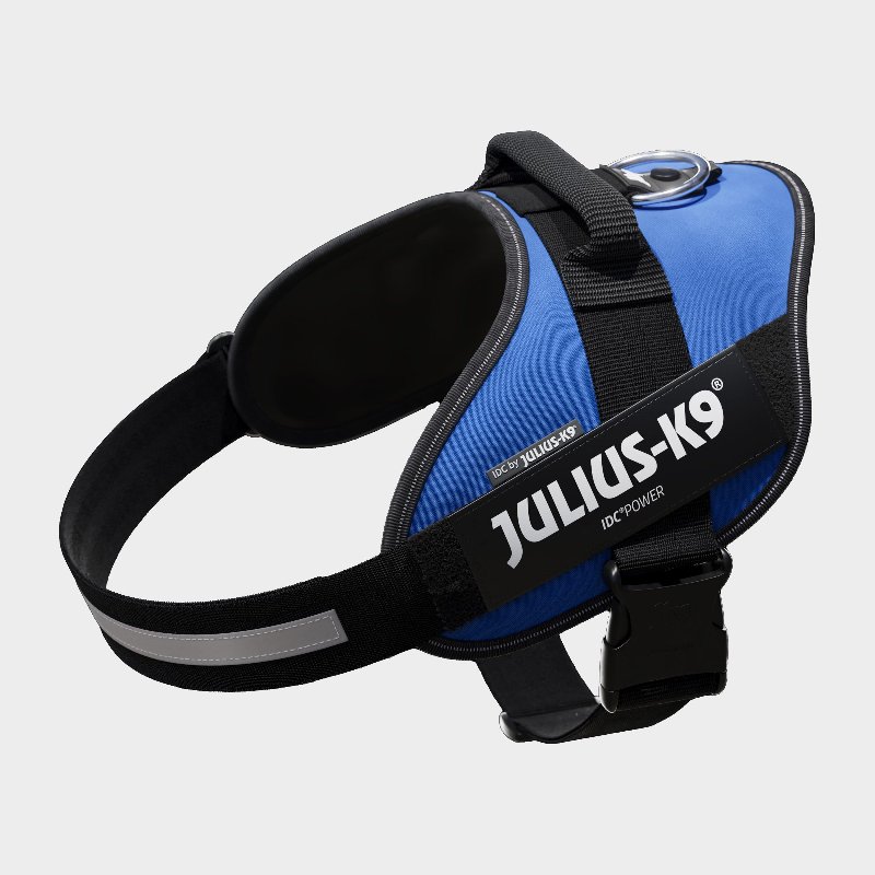 Julius K9 Original Powerharness Size 2 in Blue