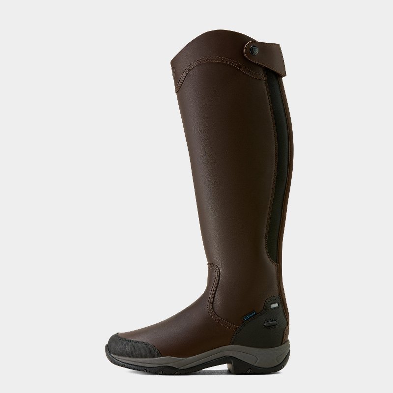 Ariat Women's Telluride Tall Waterproof Boot in Dark Brown
