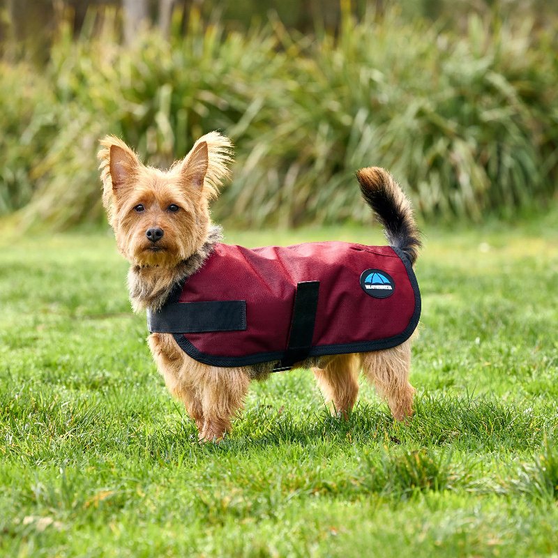 WeatherBeeta ComFiTec Classic Waterproof Dog Coat