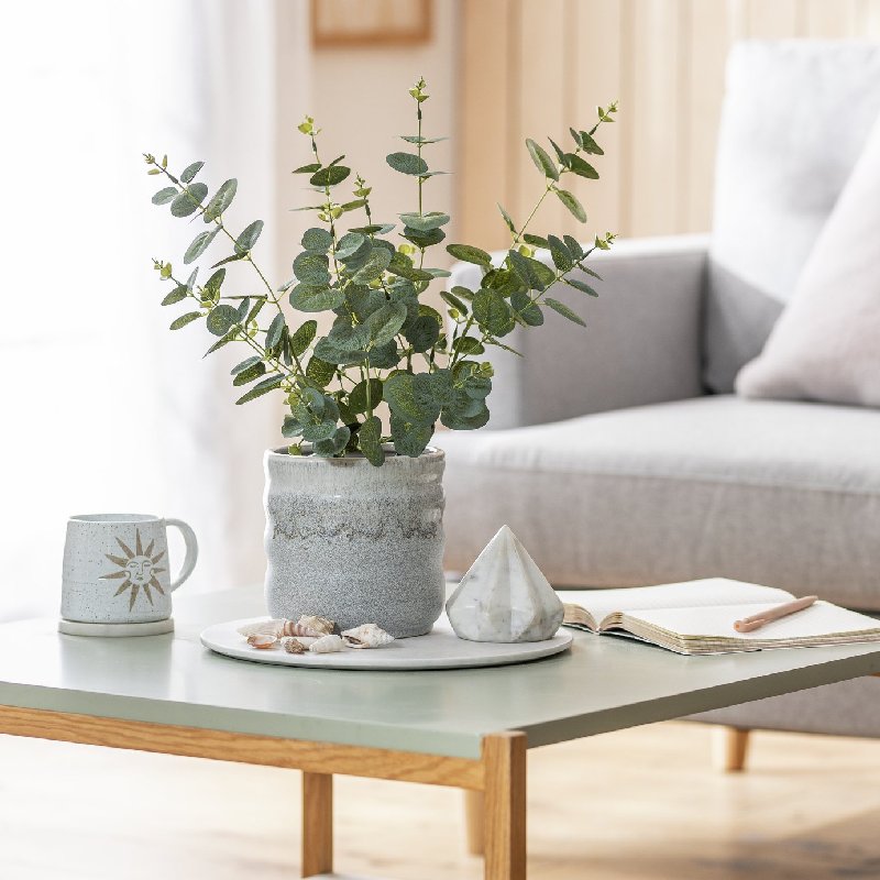 Habitat Artificial Green Eucalyptus Plant in Matte Black Pot, 48cm High