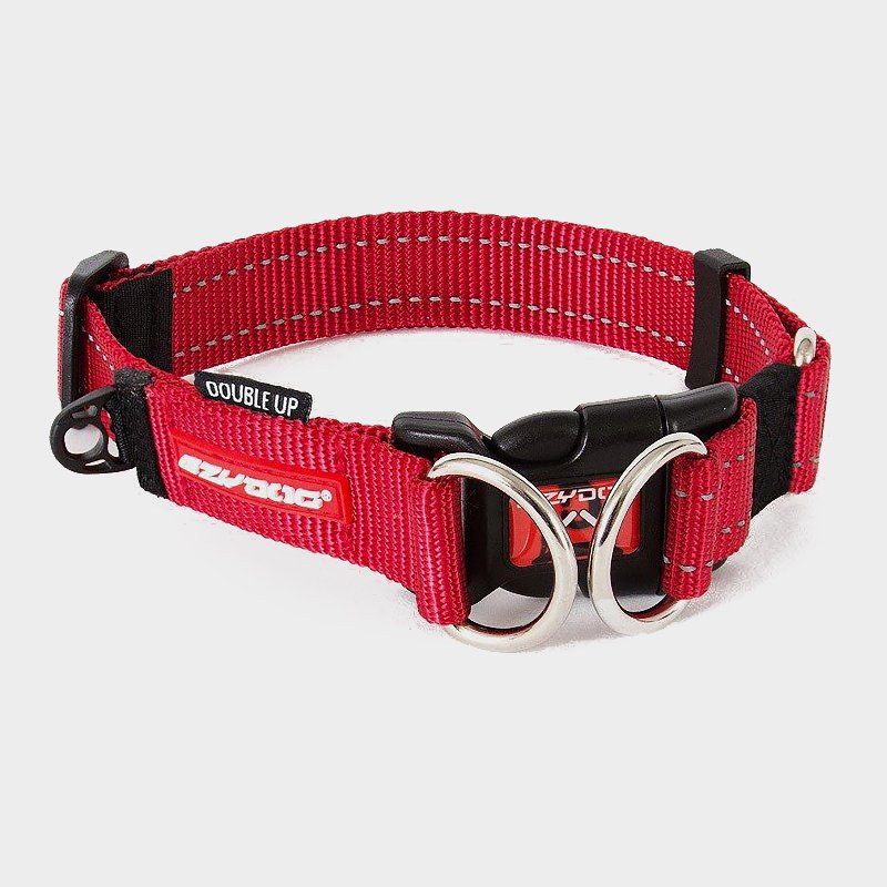 EzyDog Double Up Collar R