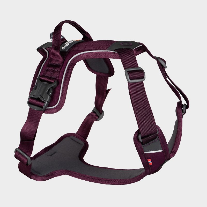 Non-Stop Dogwear Ramble Harness - Purple