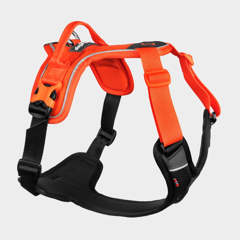 Non-Stop Dogwear Ramble Harness - Black/Orange