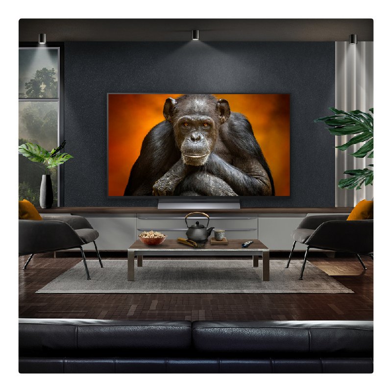 LG OLED48G56LS 48-inch 4K Gallery OLED Smart TV with Dolby Vision & Atmos