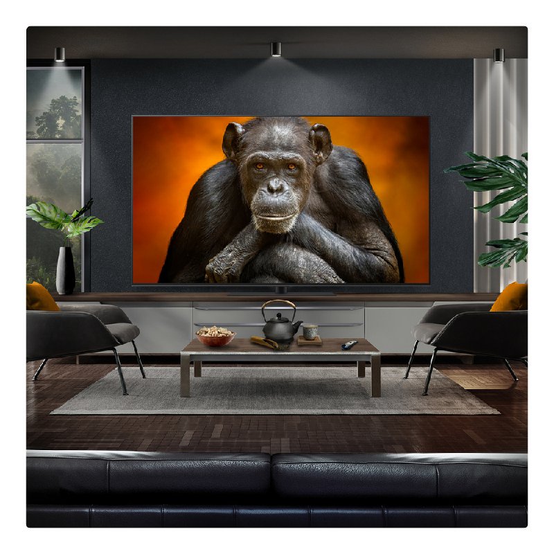 LG OLED65G56LS 65-inch 4K Gallery OLED Smart TV with Dolby Vision and Atmos