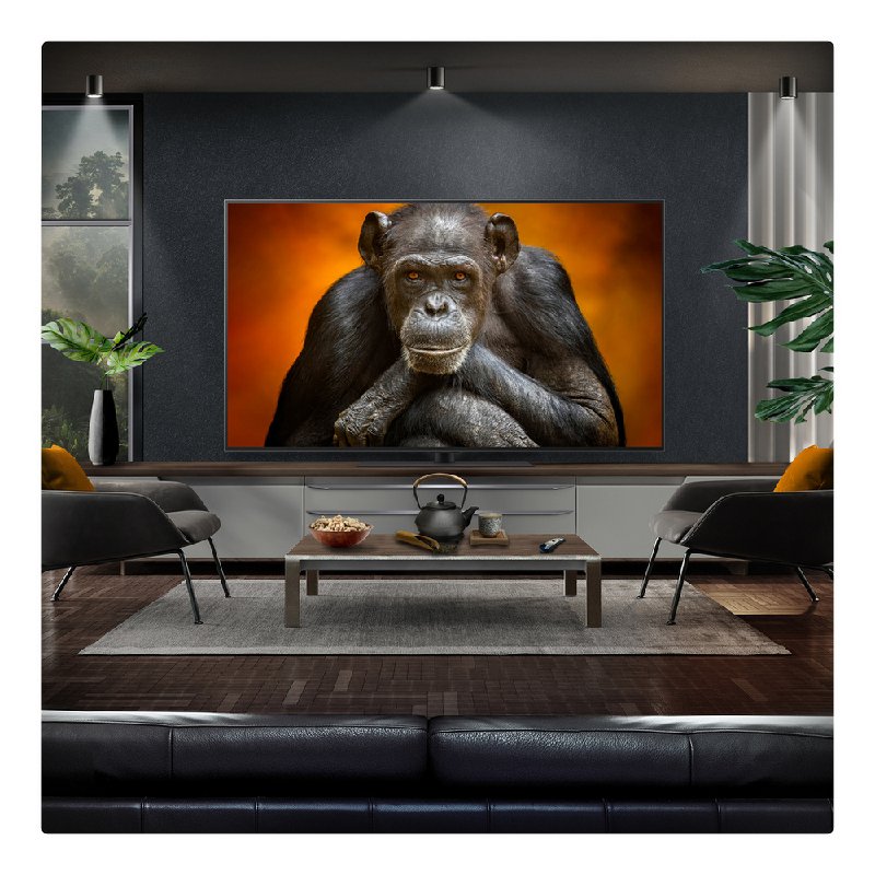 LG OLED55G56LS 55-inch 4K Gallery OLED Smart TV with Dolby Vision & Atmos