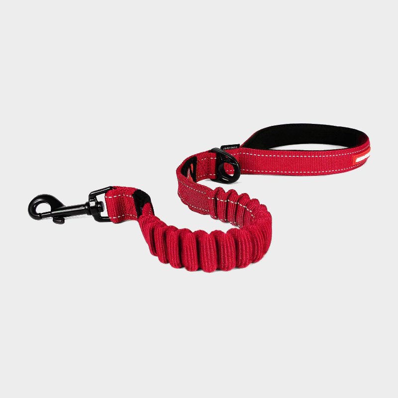 EzyDog Zero Shock Dog Lead, 25 Inches